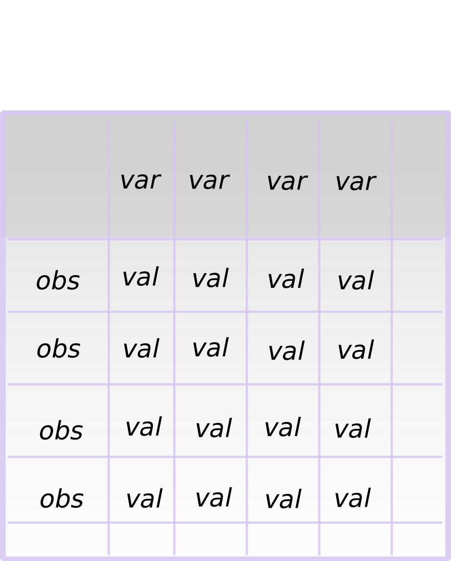 obs = observation, var = variable and val = value